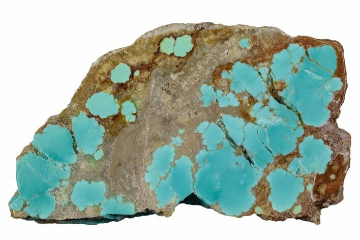 Polished Turquoise Slab - Number Mine, Carlin, NV #292319